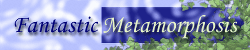 Fantastic Metamorphosis Logo